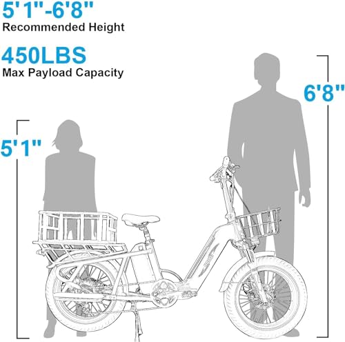 HAOQI Electric Bike for Adults, 750w Brushless Motor,48V 27.8Ah Dual Battery for 90-120 Miles Range,20 * 4" Fat Tire Cargo Ebike, 450lbs Weight Capacity with Front and Rear Baskets