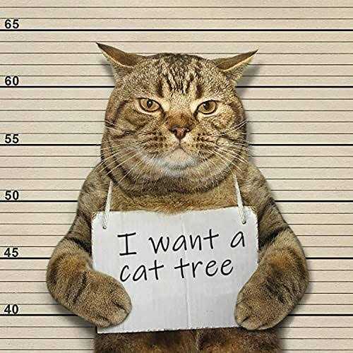 IMUsee 68 Inches Multi-Level Cat Tree for Large Cats/Big Cat Tower with Cat Condo/Cozy Plush Perches/Sisal Scratching - Pet Supplies online store