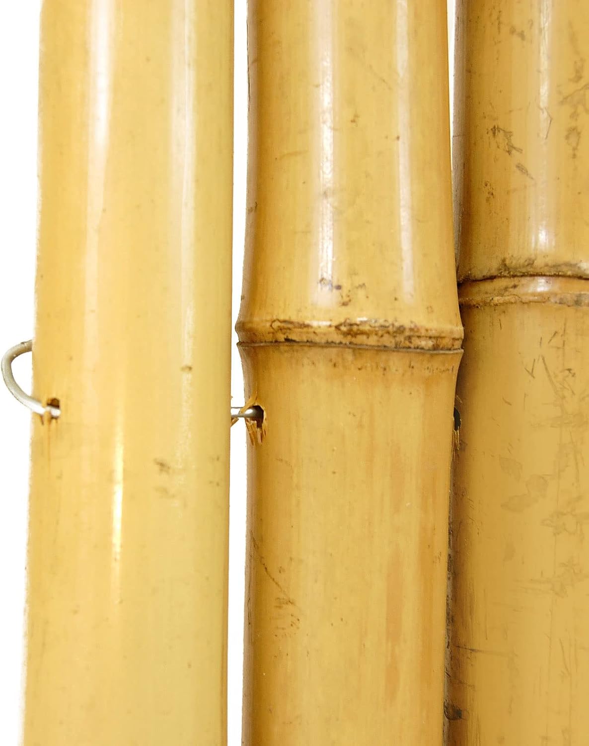 Backyard X-Scapes Natural Bamboo Fencing Decorative Rolled Fence Panel 0.75 in D x 6 ft H x 8 ft L