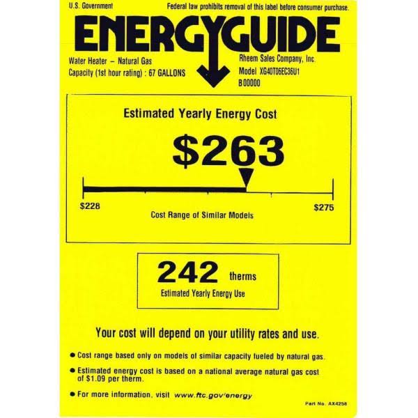 Rheem Performance 40 gal. Tall 6 Year 36,000 BTU Natural GAS Water Heater