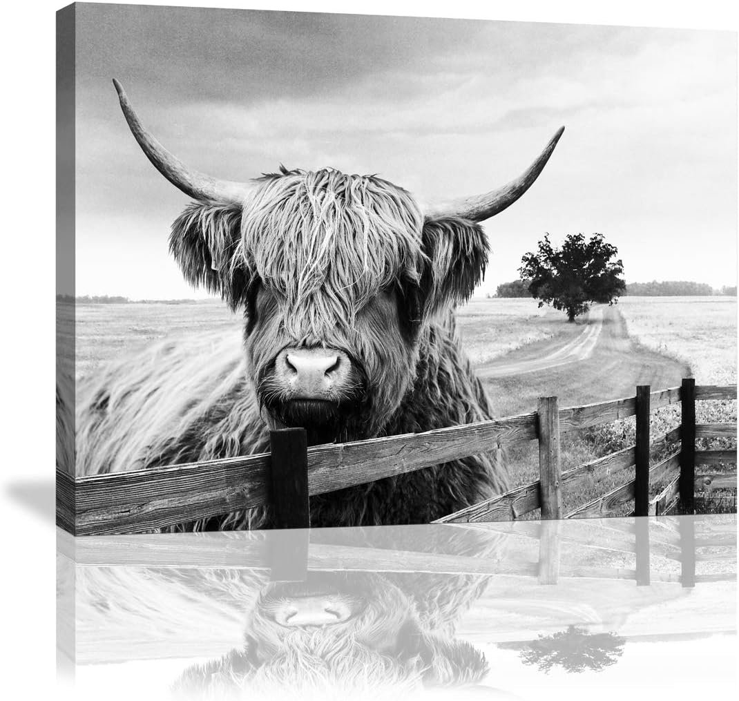 Black and White Landscape Highland Cow Pasture Hairy Cow Animal Decor Pictures Canvas Wall Art for Office Bedroom Farmhouse Prints Photo Contemporary Cow Decor Paintings Home Decoration Artwork 20x28