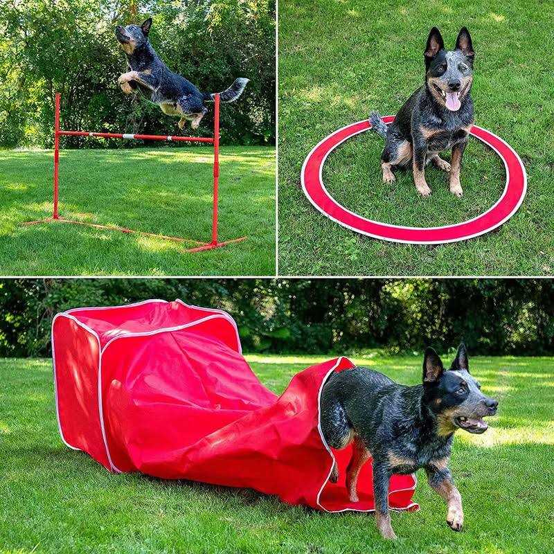 SP Dog 6 Piece Agility Kit - Pet Supplies online store