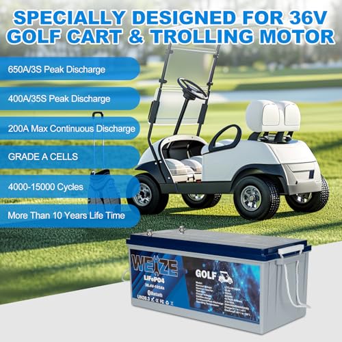 Weize 12V 100Ah TM LiFePO4 Lithium Battery, Built-in Smart BMS, Group 31 Deep Cycle Battery Perfect for Trolling Motor, RV, Solar, Marine, Overland/Van, and Off Grid Applications
