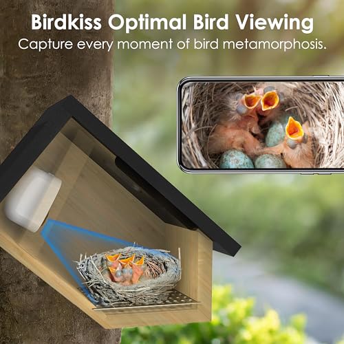 Smart Bird Houses for Outside Solar Powered, 1080P HD Live View Birdhouse with Camera, Perfect Viewing Bird Nesting and Hatching, Ideal Outdoors Bird House for Blue Bird and Cardinal (Black)