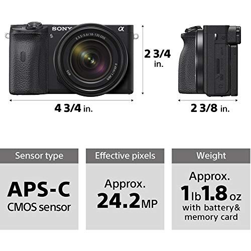 Sony Alpha A6600 Mirrorless Camera