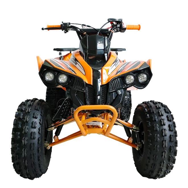 HHH Youth and Adult 125cc ATV Vitacci Outlander Fully Automatic with Reverse Double Headlights Led Gas 4 Wheeler ATVs Quads Big 19/18 inch Tires (Green) - Extra Large