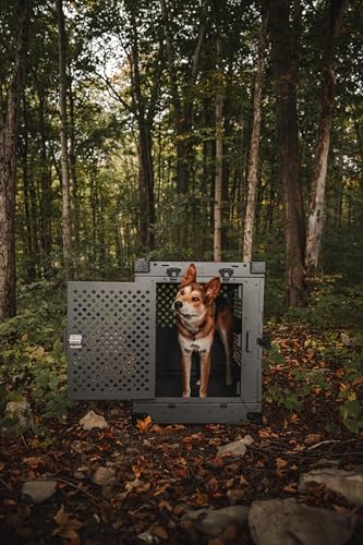 Impact Collapsible Dog Crate - High-Strength, Powder-Coated Aluminum Construction with Portable, Space-Saving Design for Home and Travel (Gray, 40" (40.5" L x 23" W x 29" H))