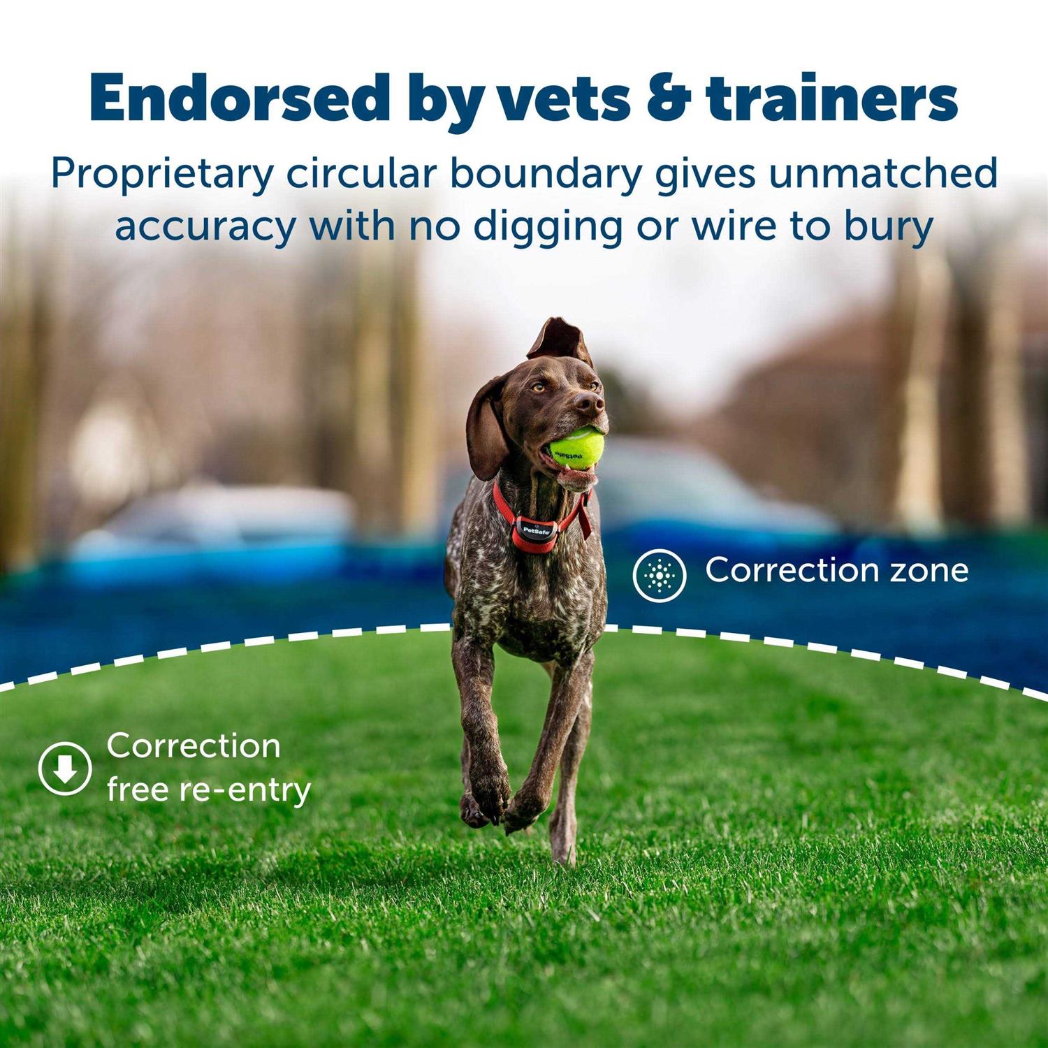 PetSafe Stay Play Wireless Fence for Stubborn Dogs - Pet Supplies online store