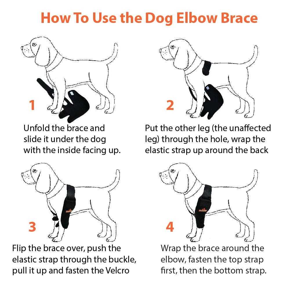 NeoAlly Dog Elbow Brace Protector Pads for Canine Elbow and Shoulder Support Elbow Hygroma - Pet Supplies online store