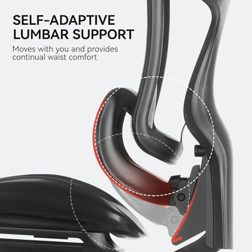 SIHOO Doro C300 Ergonomic Office Chair with Ultra Soft 3D Armrests, Dynamic Lumbar Support for Home Office Chair, Adjustable Backrest Desk Chair, Swivel Big and Tall Office Chair, Computer Chair Grey