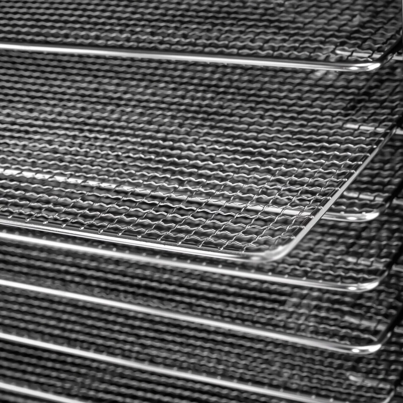10 Trays Food Dehydrator Machine Stainless Steel Meat Jerky Dryer with Timer