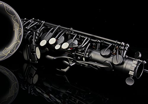 Glory Black Laquer E Flat Alto Saxophone with 11reeds,8 Pads cushions,case,carekit