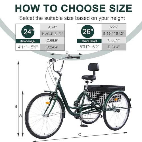 Versatile 24/26-Inch 3-Wheel Adult Tricycle with 7-Speed Gearing and Spacious Basket for Comfortable Riding and Storage for Recreation, Shopping, Picnics