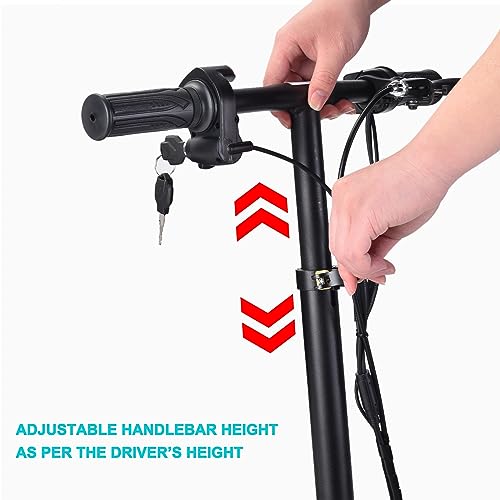 Folding Mobility Electric Scooter 48v 700w Dual Motor Lithium Battery 42 * 22 * 33(Inch) (Black)…