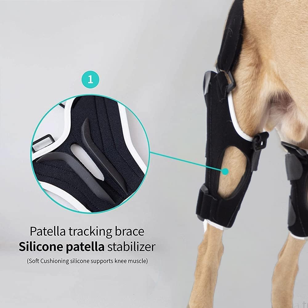 Poveo hinged Dog Knee Brace with Patella Tracker - Neoprene Canine Stifle Support for Dogs with Flexible Support, Torn ACL, Patella Luxation, osteoarthritis, limping from Joint Pain, Hip dysplasia