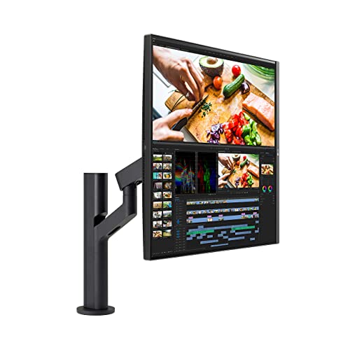 LG DualUp Monitor