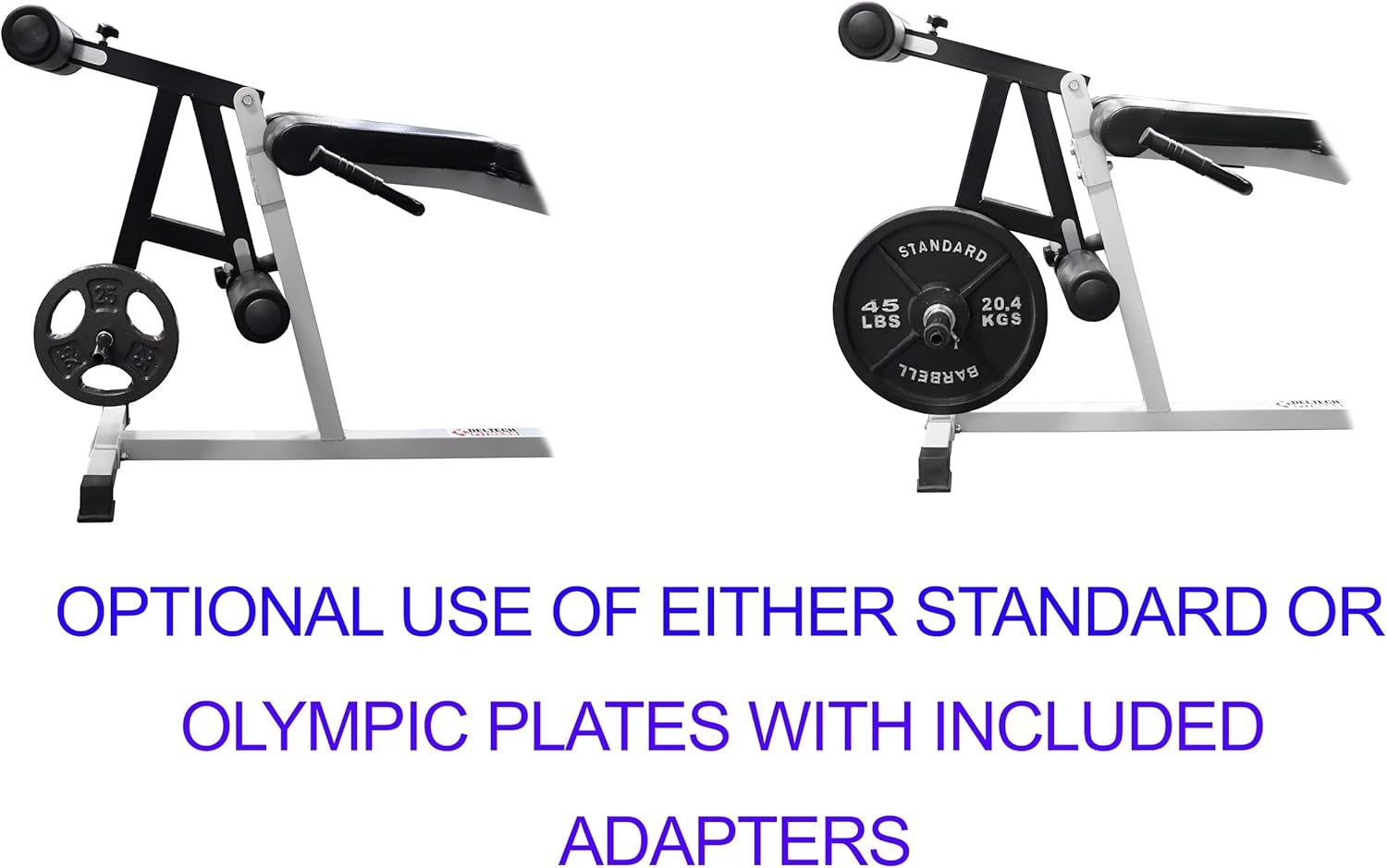 Leg Extension/Leg Curl Machine by Deltech Fitness