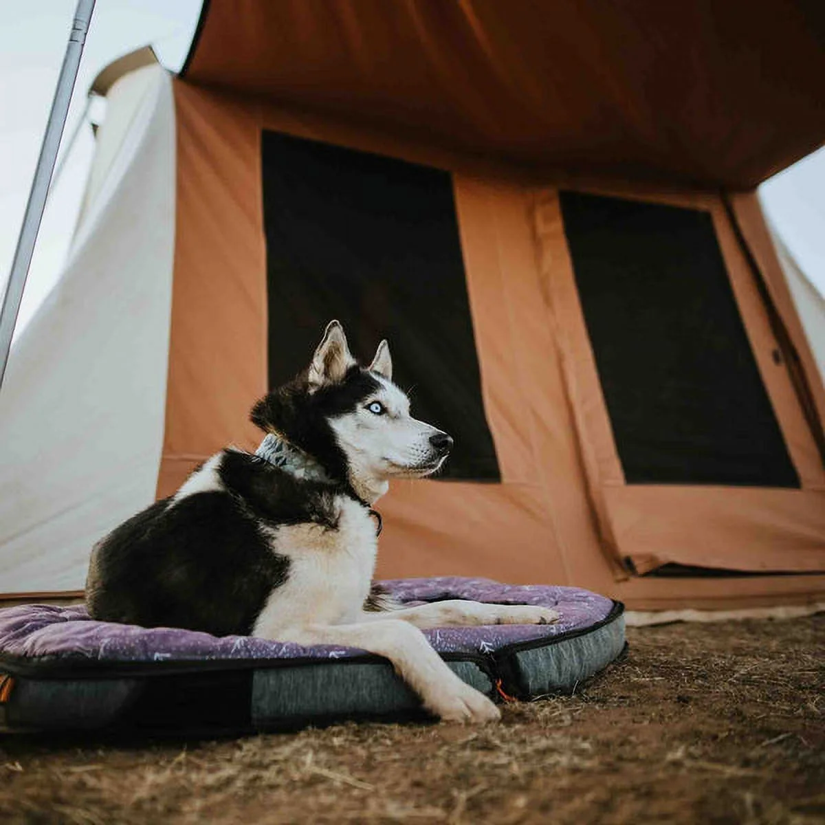 WHITEDUCK Prota Basic Canvas Cabin Tent | Flex-bow Camping Tent 10'x10' Cabin Style for 4 Person in Brown Color - Waterproof