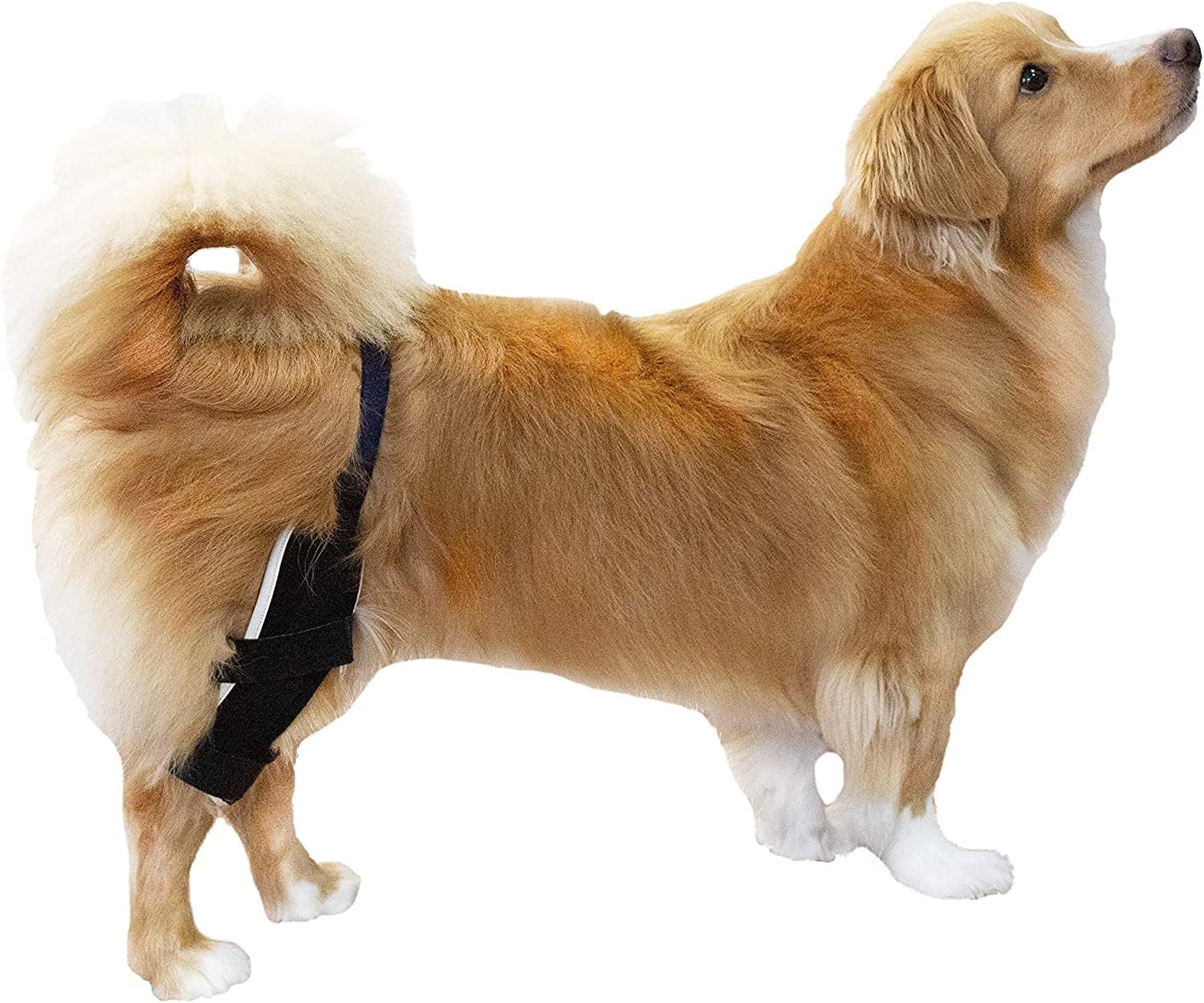 Poveo hinged Dog Knee Brace with Patella Tracker - Neoprene Canine Stifle Support for Dogs with Flexible Support, Torn ACL, Patella Luxation, osteoarthritis, limping from Joint Pain, Hip dysplasia