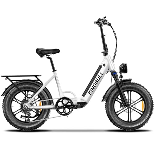Electric Bike, Peak 1000W Motor 48V 17.5Ah Electric Bike for Adults, 28MPH 60Miles Range Commuter Electric Bicycle, CST 20"x 4.0" Electric Bicycle
