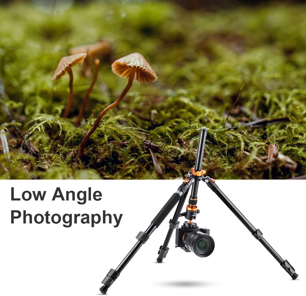 K&F Concept 62 inch DSLR Camera Tripod,K254A1+BH-28L (SA254M1) Lightweight and Compact Aluminum Detachable Monopod Tripod with 360 Panorama Ball Head Quick Release Plate for Travel and Work