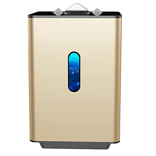 Portable Hydrogen Generator, Dual-Output H2 Inhalation Machine, 99.99% High Purit Low Noise, PEM Water Electrolysis Ionizer, for Home Travel Gym Airport