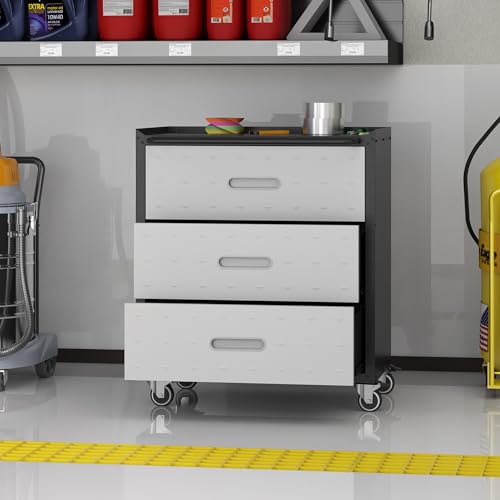 Metal Storage Cabinet with Wheels, Lockable Garage Cabinet with Doors and Shelves, Rolling Tool Storage, Assembly Required, Black