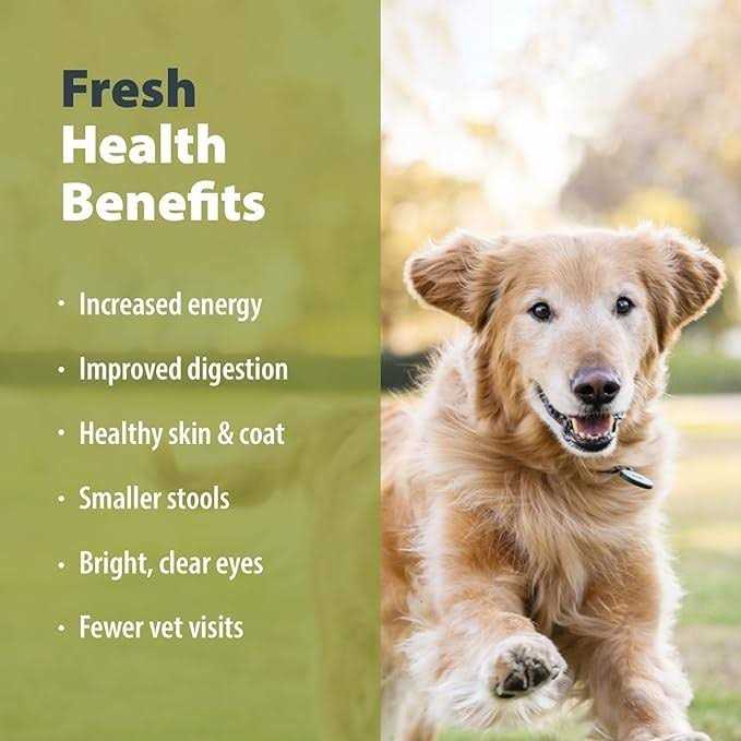 JustFoodForDogs Diets Balanced Remedy Frozen Dog Food - Pet Supplies online store