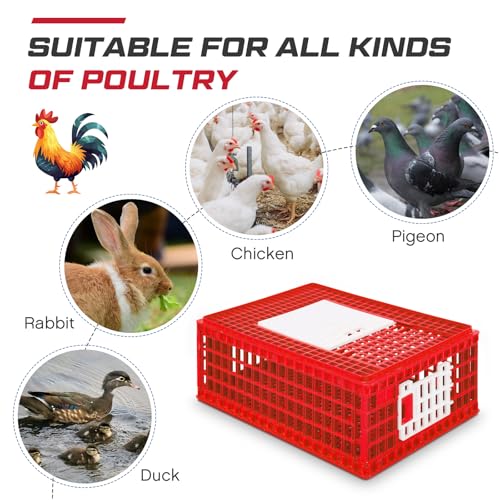 2 Pcs Poultry Carrier Crate 3 Door Chicken Transport Cage Plastic Poultry Carrier Basket Box for Chicken Duck Goose Birds, 29.53 x 21.65 x 11.42 Inch(Blue)