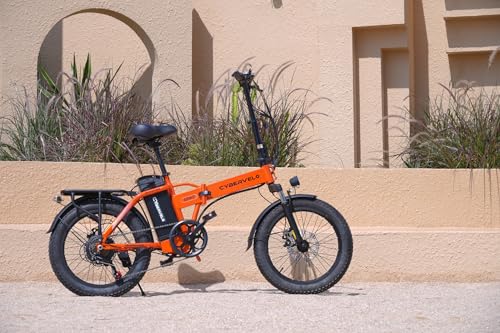 1000W Folding Electric Bike, 48V 20.8AH Large Removable Battery E-Bike, 30+MPH, 80 Miles Max Range, 20" Fat Tire Electric Bike for Adults, Adult Electric Bicycles for Commute