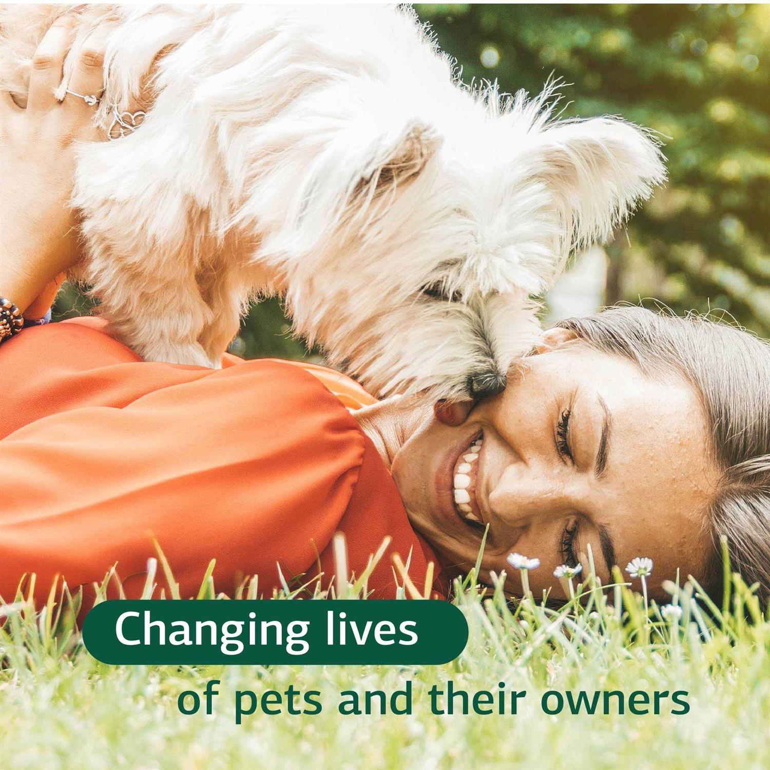 Canine Hepatic Support - Pet Supplies online store