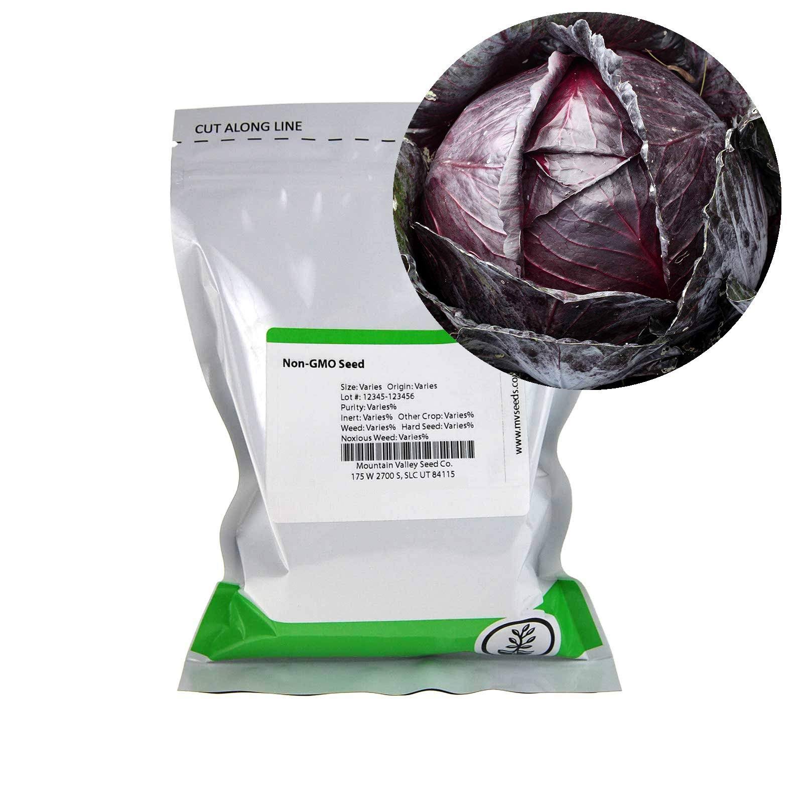 Red Acre Cabbage Seeds - 5 lb Bulk Seed - Heirloom, Non-GMO Vegetable