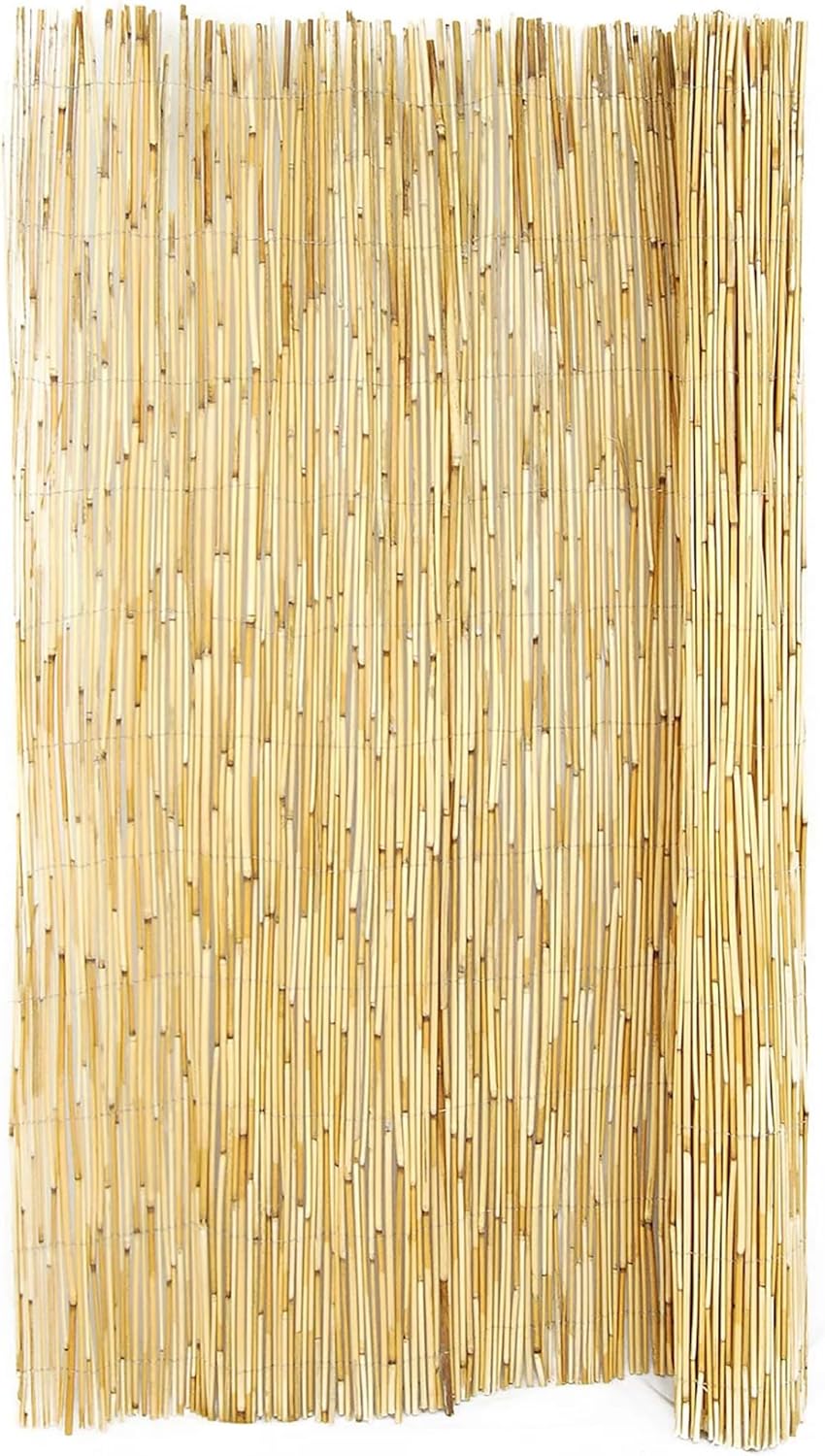 Forever Bamboo Reed Fencing, 6ft H x 16ft L