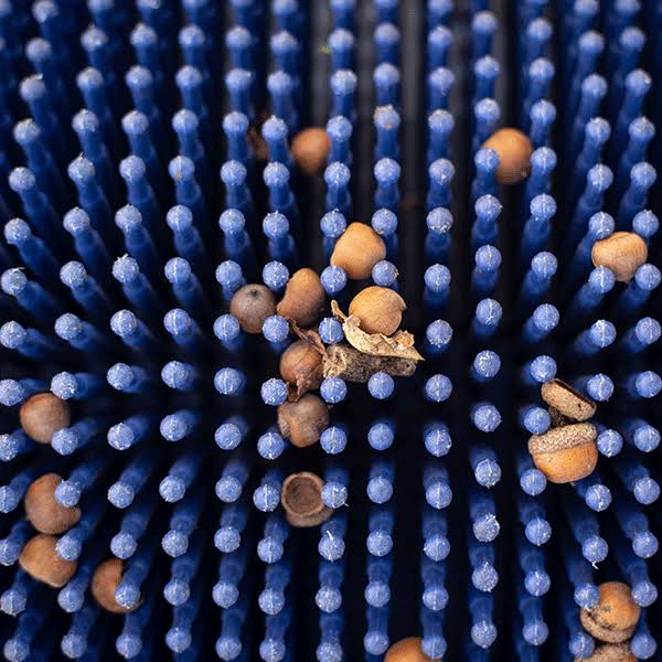 Bag-A-Nut Small Acorn Picker Upper - 36x22 Push Collector