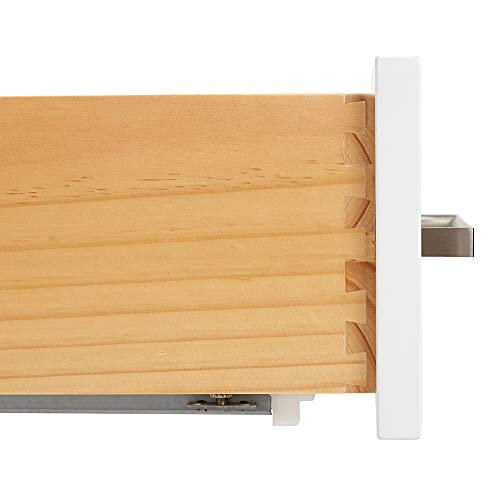 ARIEL 61" White Bathroom Vanity with 1.5" Edge Italian Carrara Marble Countertop & Backsplash, Center Rectangular Sink, 2 Soft Closing Doors, 9 Full Extension Dovetail Drawers, Brushed Nickel