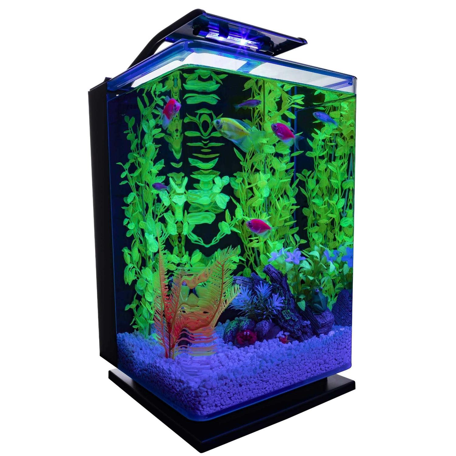 GloFish Aquarium Kit - Pet Supplies online store