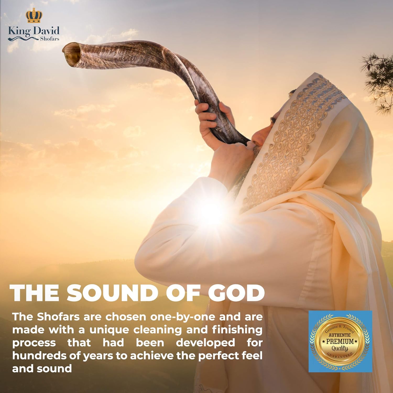Shofar Horn Instrument - Shofar Angels Musical Instrument - Horn Gift From Israel - Kosher Jewish Shofar - Holy Instrument For Jewish - Traditional Israeli Horn - Half Polished (43"-45" - Super Jumbo)