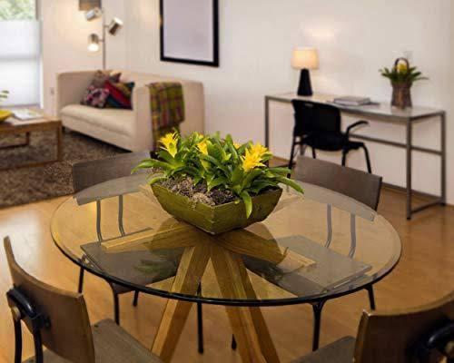 Glass Table Top: 60 inch Round 1/4 inch Thick Beveled Polish Tempered