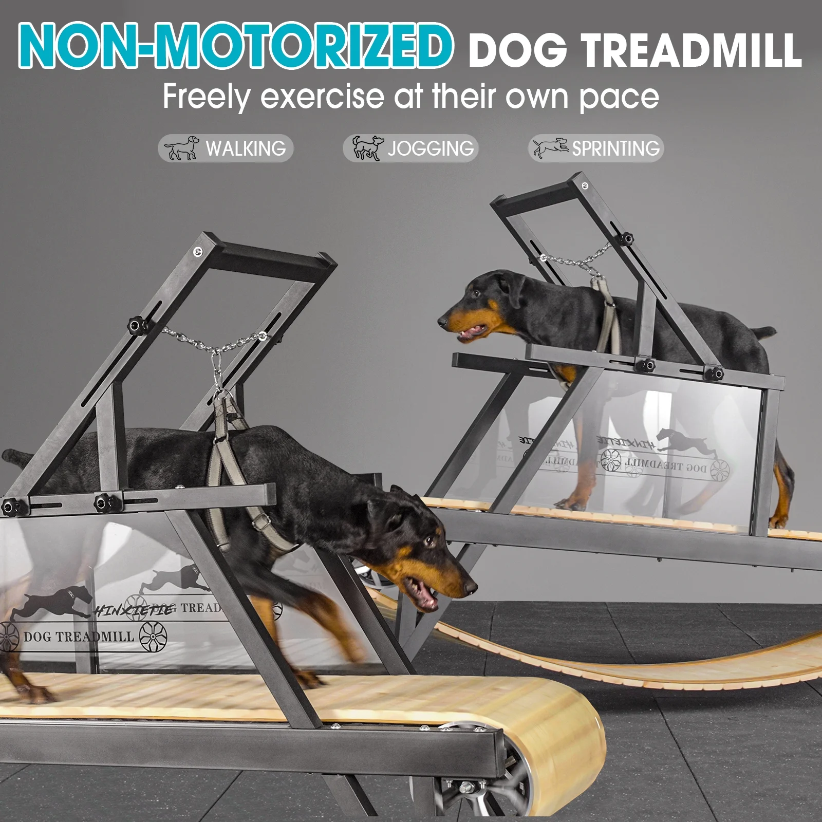 Syedee Dog Treadmill for Large Dogs, Dog Slatmill for Healthy & Fit Dog Life, Dog Treadmill for Indoor & Outdoor. Dog Treadmill for Dogs up to 250 lb