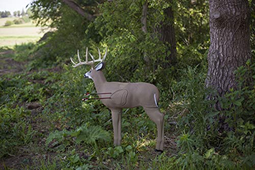 Shooter Buck 3D Deer Archery Target