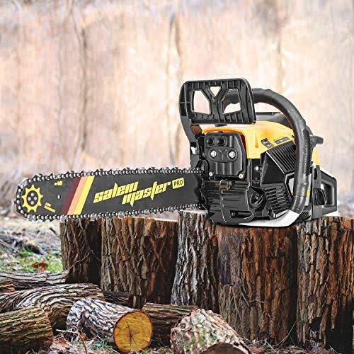 Salem Master 20 in. 62 CC 2-Cycle GAS Powered Chainsaw Handheld Cordless Petrol Gasoline Chain Saw 6220G