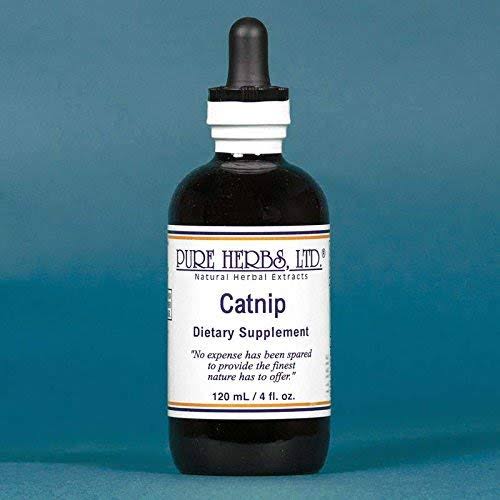 Catnip - 4 oz (Natural Herbal Extracts)