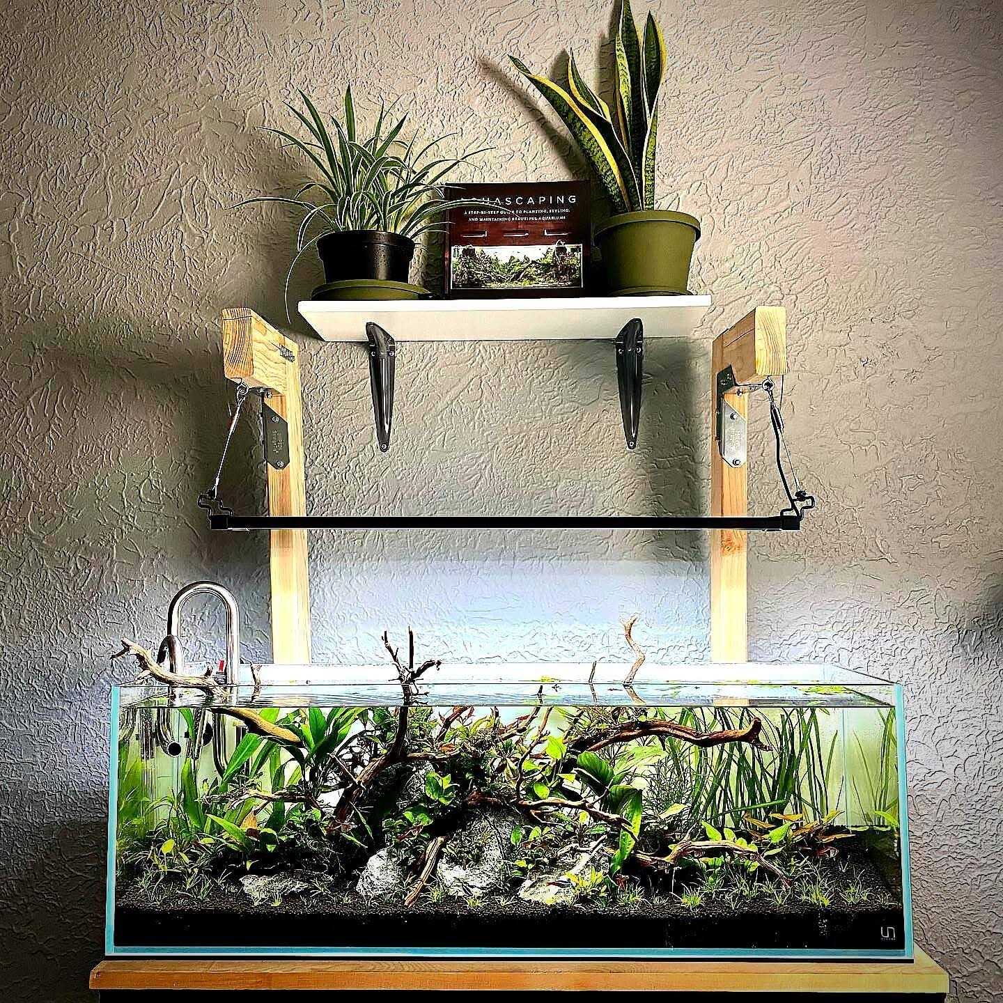 UNS Ultra Clear Rimless Aquarium - Pet Supplies online store