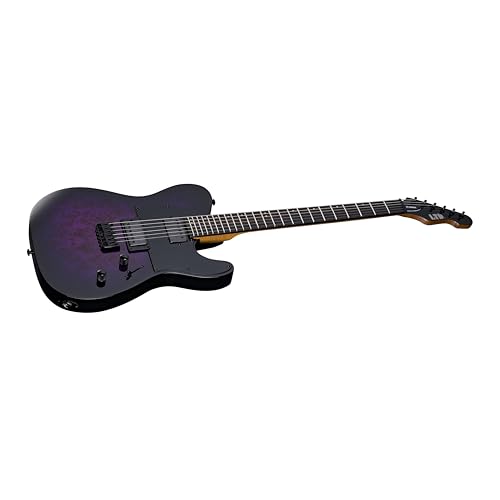 ESP LTD TE-200DX Electric Guitar - Purple Burst