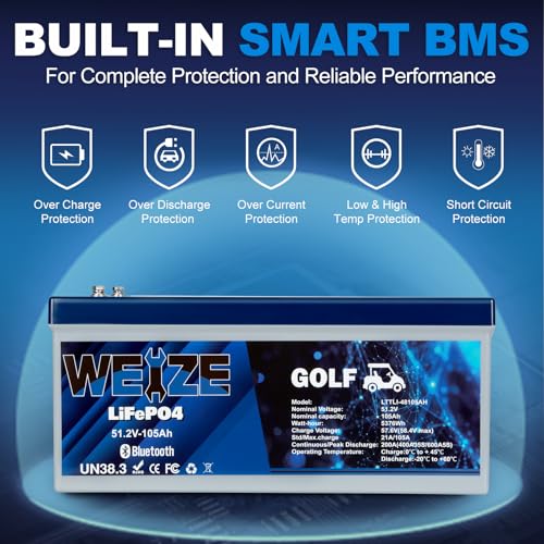 Weize 12V 100Ah TM LiFePO4 Lithium Battery, Built-in Smart BMS, Group 31 Deep Cycle Battery Perfect for Trolling Motor, RV, Solar, Marine, Overland/Van, and Off Grid Applications