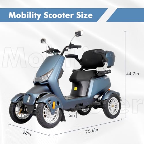 Heavy Duty 4 Wheel Mobility Scooters for Adults, 800W Powered All Terrain Mobility Scooters with Seat and Remote Control, Handicap Scooters for Seniors Outdoor Long Range Travel (Sliver)