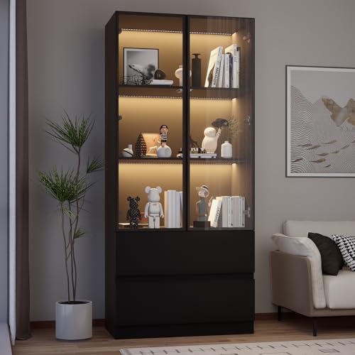 Glass Display Cabinet, Display Case Cabinet with LED Lights, Display Cabinet with Glass Door, Curio Cabinet with 3-Tier Shelves and 2 Drawers, Storage Cabinet for Living Room, Bedroom