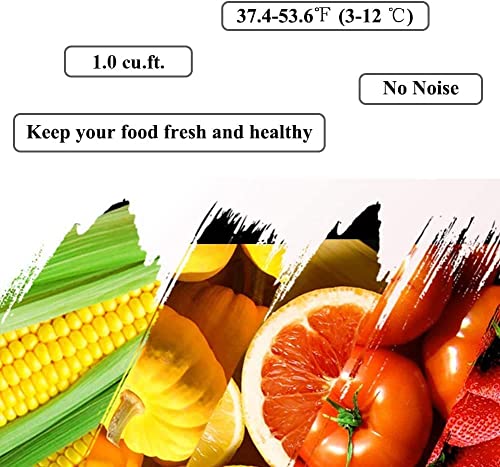 Smad 12 Volt Refrigerator Mini Fridge with Lock Compact Refrigerator for Bedroom Dorm Office No Noise