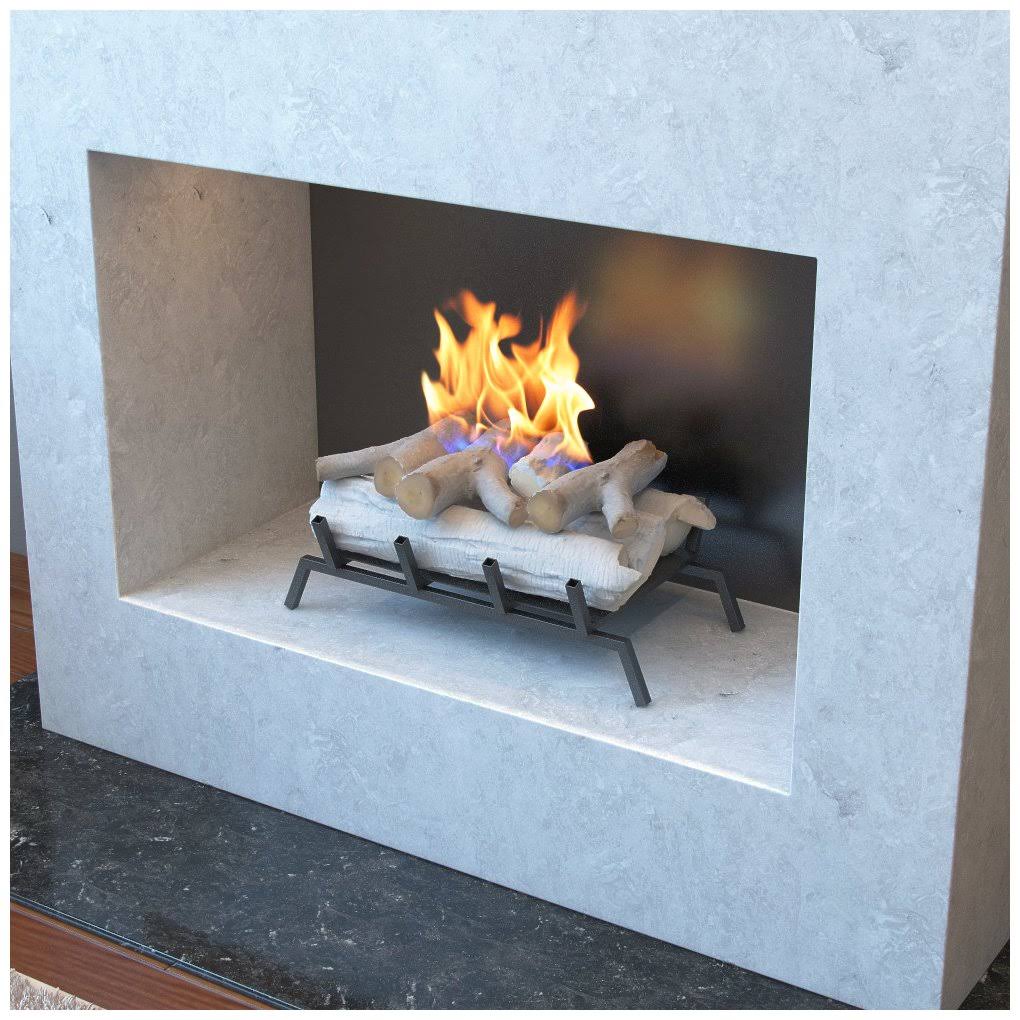 Regal Flame ECK2018BRC 18 in. Birch Convert to Ethanol Fireplace Log Set with Burner Insert from Gel or GAS Logs