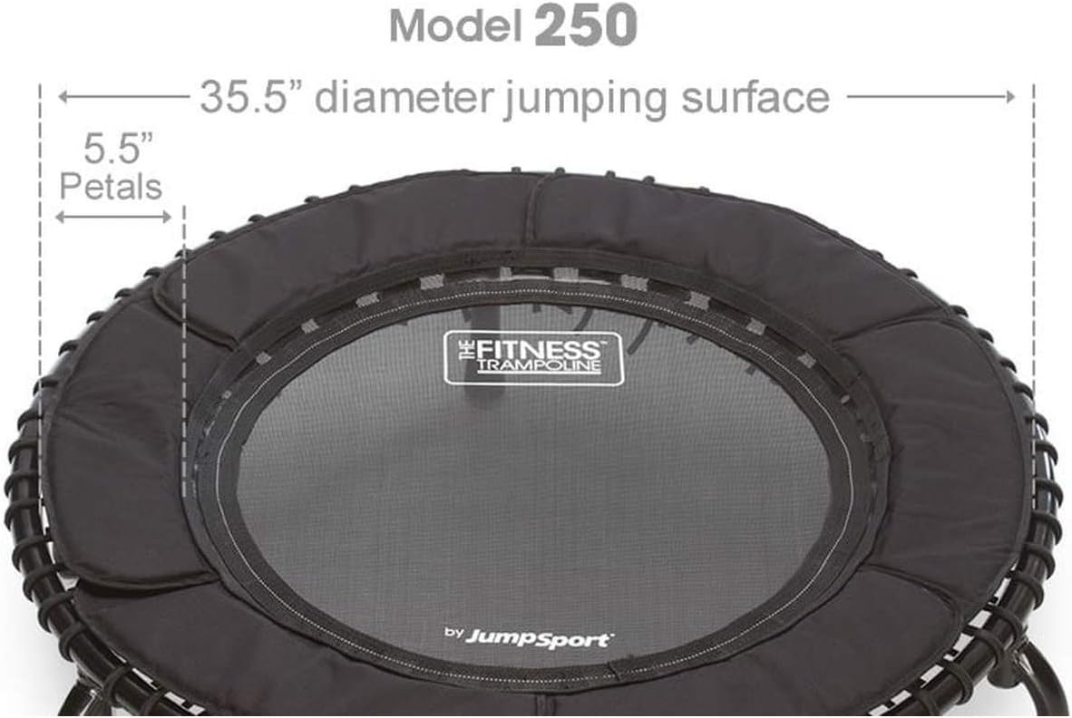 JumpSport 250 Indoor Home Cardio Fitness Rebounder Durable Bounce Exercise Mini Trampoline with Handle Bar Accessory, Premium Bungees, and Workout DVD